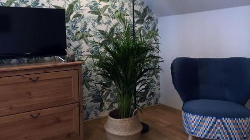 Apartament nr 2